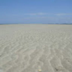 Meet your Posher, Socrates